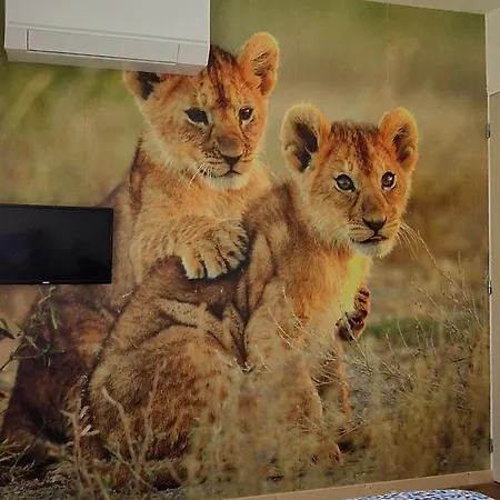 Tatil Evi Maison De Charme En Bord Du Loir, 6-8 Pers, Proche Zoo De La Fleche, Piscine A Venir, Parking Inclus - Fr-1-410-429 La Flèche